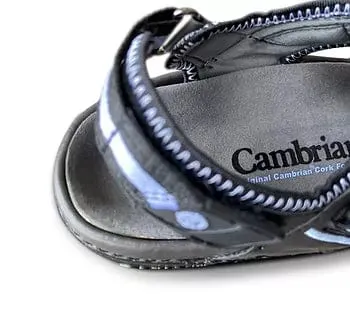 Cambrian Women's Marina Walking Sandals- Black/ Blue